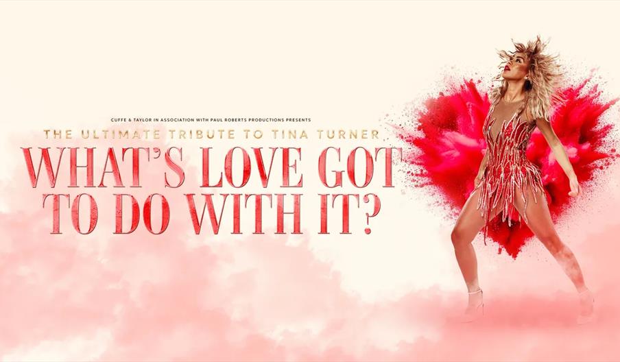Promotional poster for "What's Love Got To Do With It? The Ultimate Tribute to Tina Turner," featuring a female performer in a sparkly, Tina Turner-st