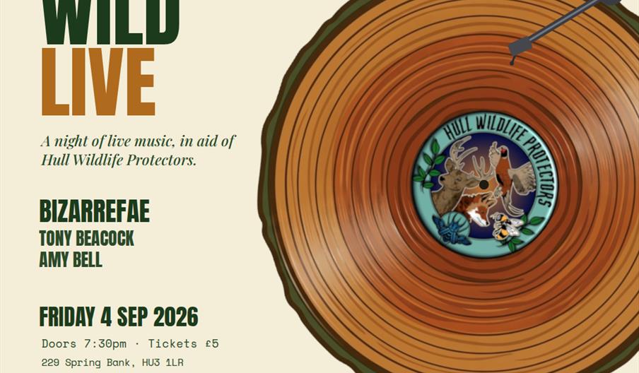 Event poster for "Wild Live" featuring live music in aid of Hull Wildlife Protectors, with acts Bizarrefae, Tony Beacock, and Amy Bell; includes event