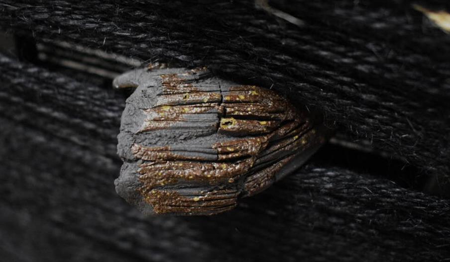 A close up of yarn wrapped around a piece of wood.