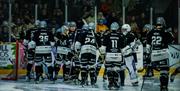 Hull Seahawks ice hockey team in action on the ice at Hull Arena, with fans visible in the stands.