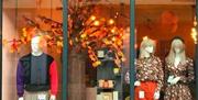 Storefront window display for "19POINT4" with three mannequins dressed in trendy autumn outfits, standing in front of a decorative tree with orange an