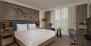 Hotel room with double bed, large window, desk and armchair