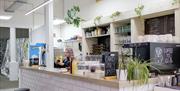 Interior of Humber Street Gallery Cafe.  A modern coffee shop counter with white subway tiles, potted plants, and handwritten chalkboard menus; a bari