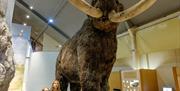 A small family stand underneath a lifesize Mammoth model that towers over them.