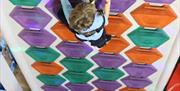 A small child in a harness climbs a multicoloured climbing wall built out of hexagonal shapes.