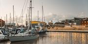Hull Marina at dusk, with multiple boats in the water and a lit walkway behind them. Murdoch Connection Bridge lies off in the distance.